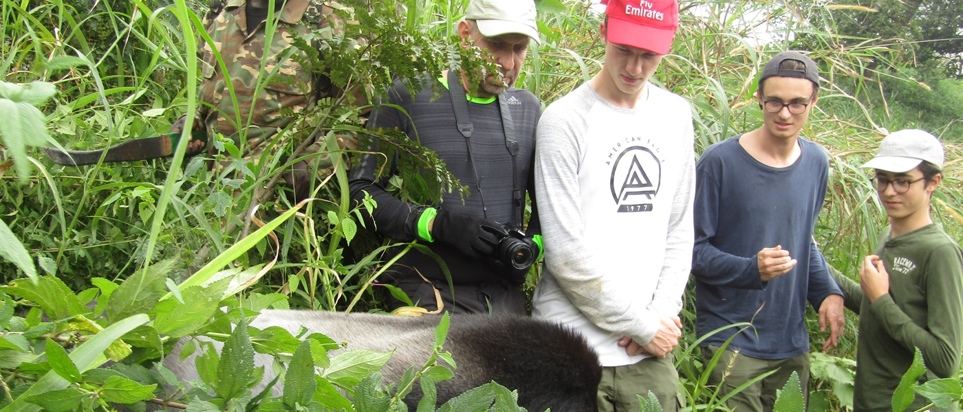 Gorilla Trekking in Bwindi 