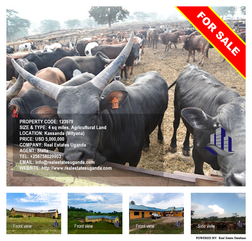 Agricultural Land  for sale in Kassanda Mityana Uganda, code: 123979