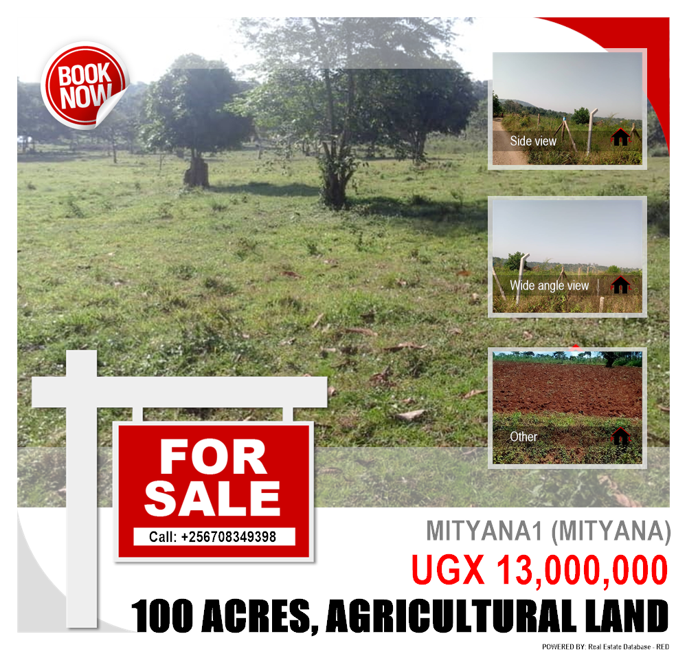 Agricultural Land  for sale in Mityana1 Mityana Uganda, code: 131273