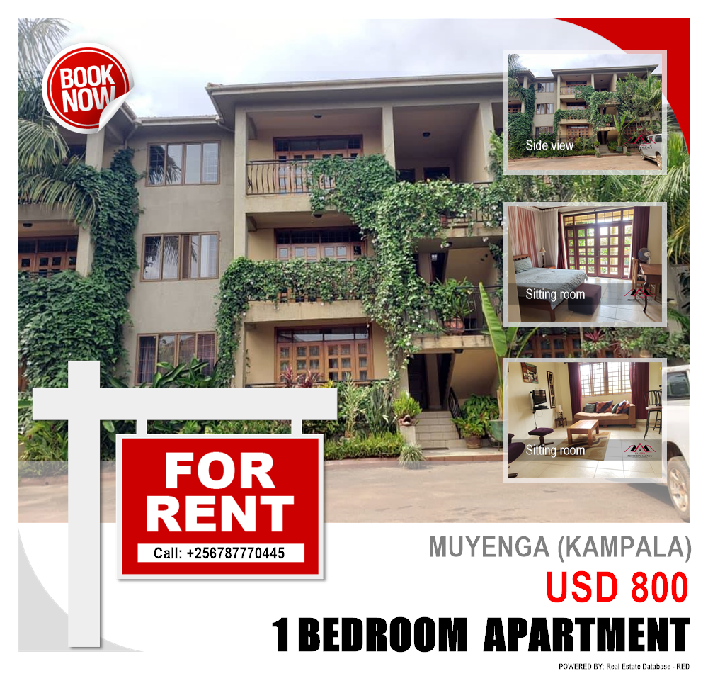 1 bedroom Apartment  for rent in Muyenga Kampala Uganda, code: 137829