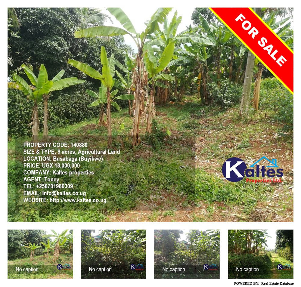 Agricultural Land  for sale in Busabaga Buyikwe Uganda, code: 140880