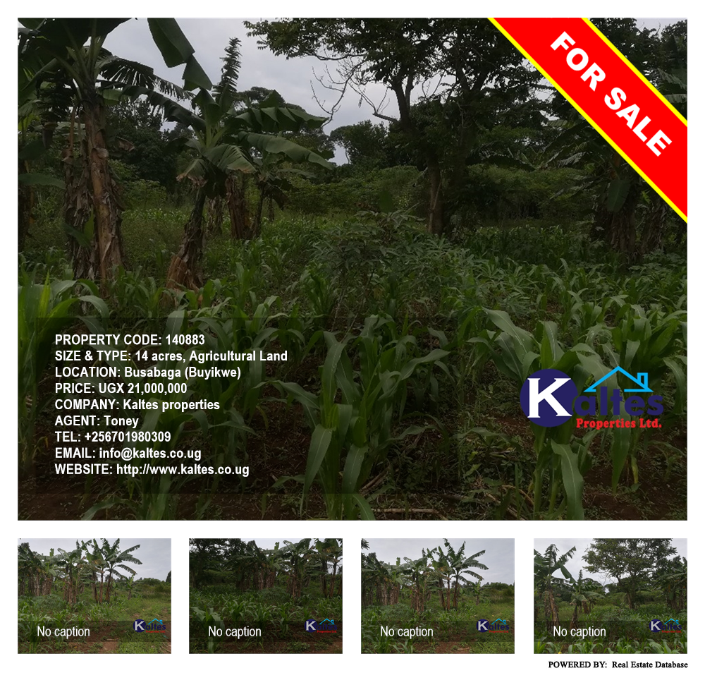 Agricultural Land  for sale in Busabaga Buyikwe Uganda, code: 140883