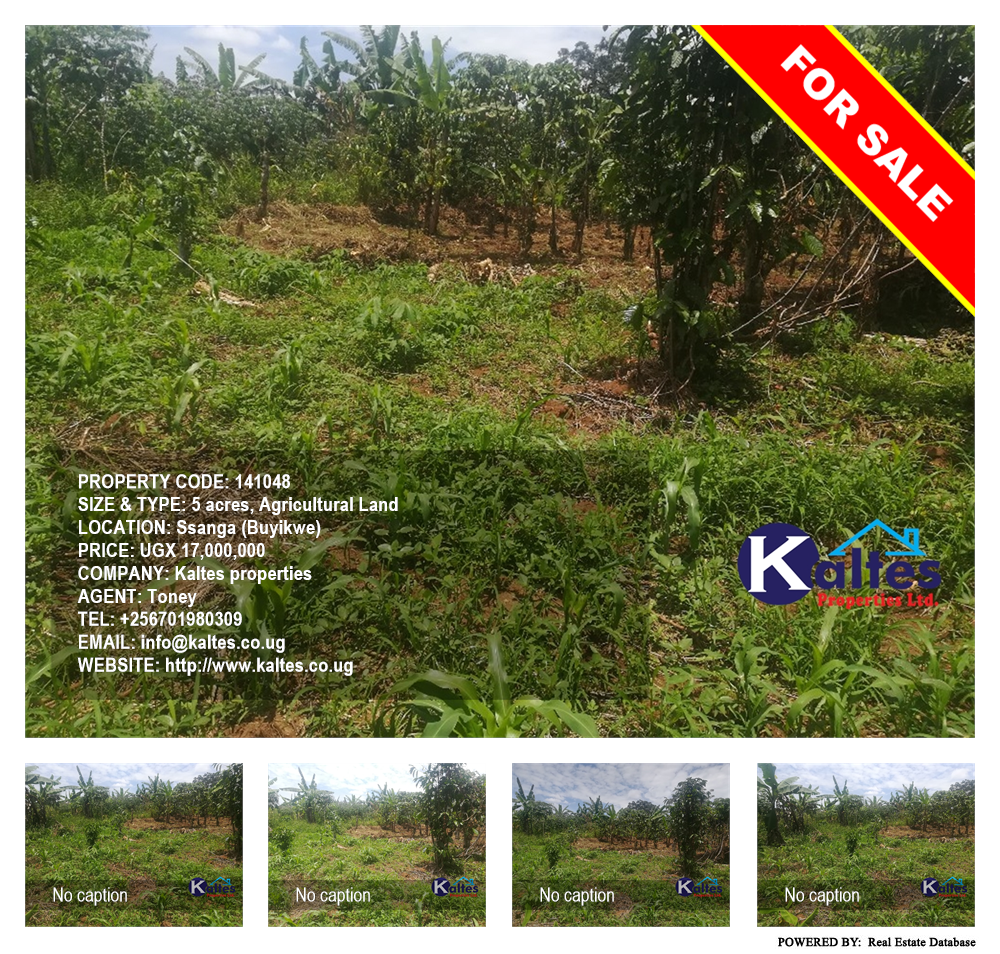 Agricultural Land  for sale in Ssanga Buyikwe Uganda, code: 141048