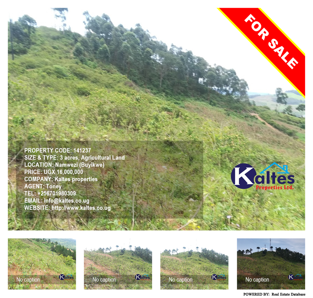 Agricultural Land  for sale in Namwezi Buyikwe Uganda, code: 141237