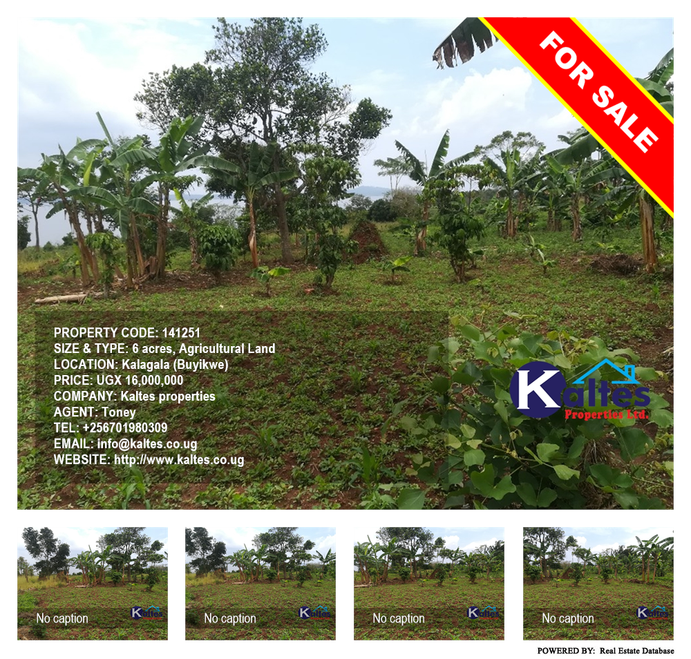 Agricultural Land  for sale in Kalagala Buyikwe Uganda, code: 141251