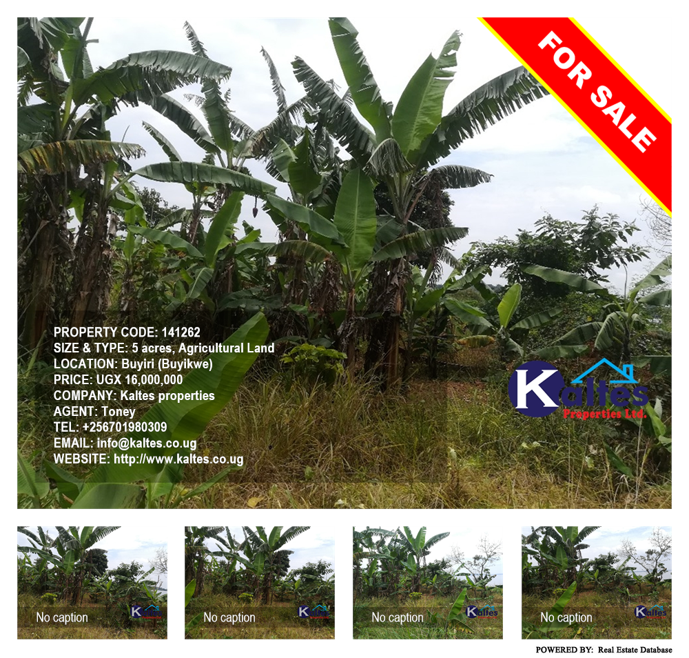 Agricultural Land  for sale in Buyiri Buyikwe Uganda, code: 141262