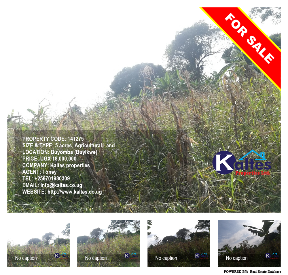 Agricultural Land  for sale in Buyomba Buyikwe Uganda, code: 141275