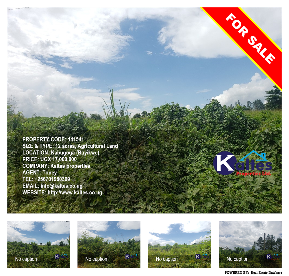 Agricultural Land  for sale in Kabugoga Buyikwe Uganda, code: 141541
