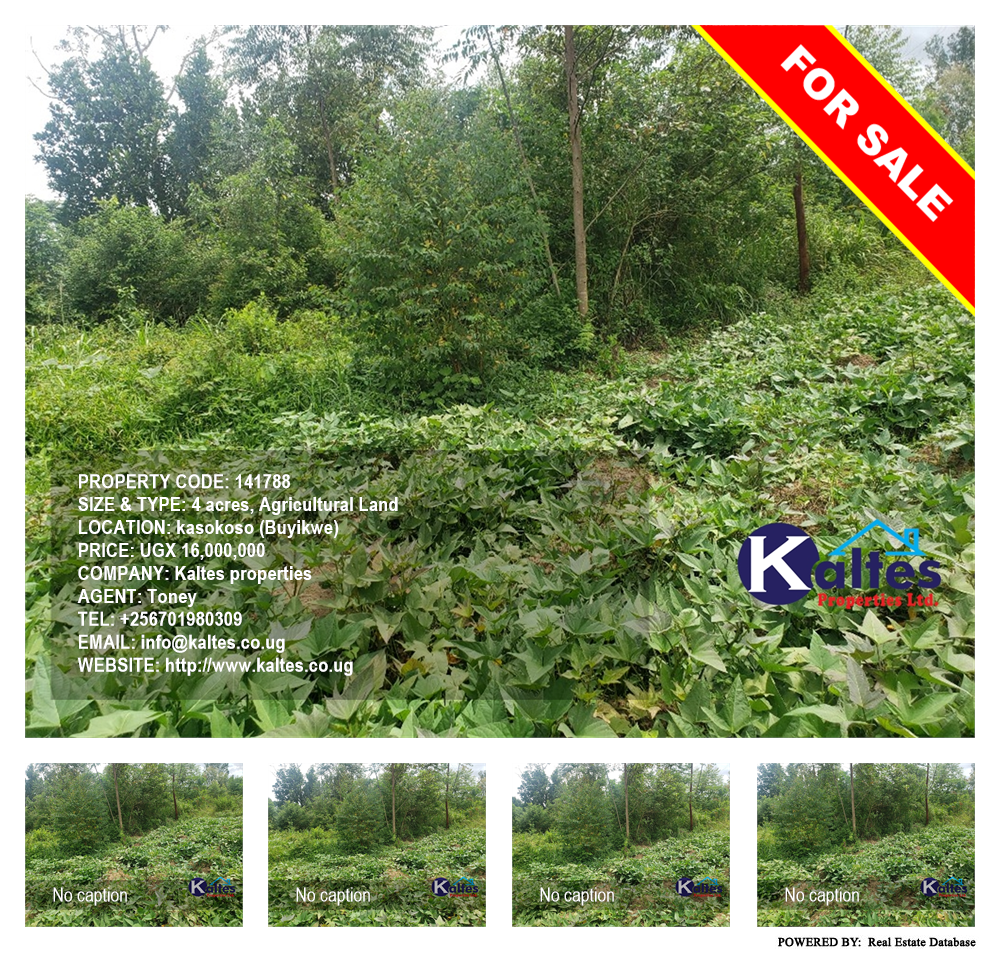 Agricultural Land  for sale in Kasokoso Buyikwe Uganda, code: 141788