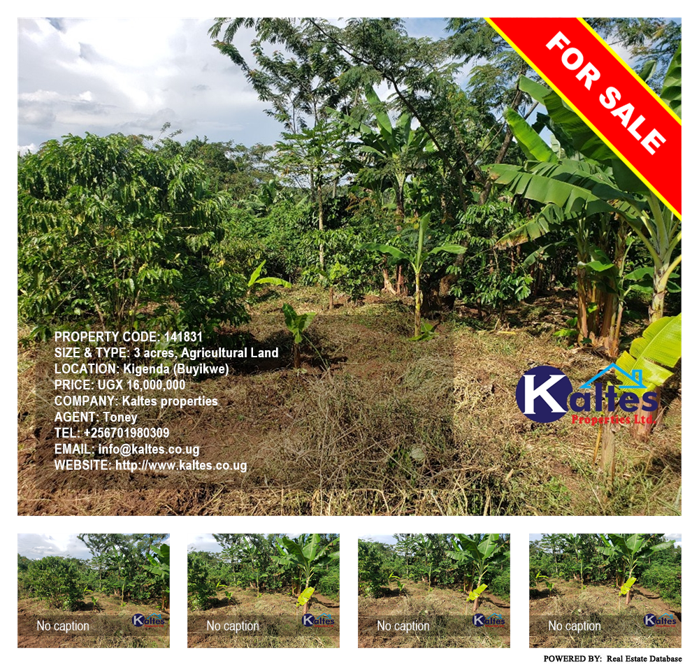 Agricultural Land  for sale in Kigenda Buyikwe Uganda, code: 141831