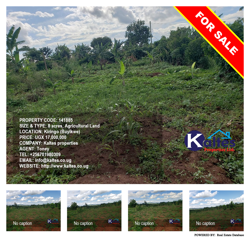 Agricultural Land  for sale in Kiringo Buyikwe Uganda, code: 141885
