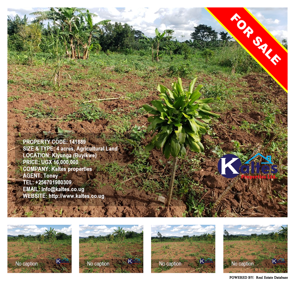 Agricultural Land  for sale in Kiyunga Buyikwe Uganda, code: 141889