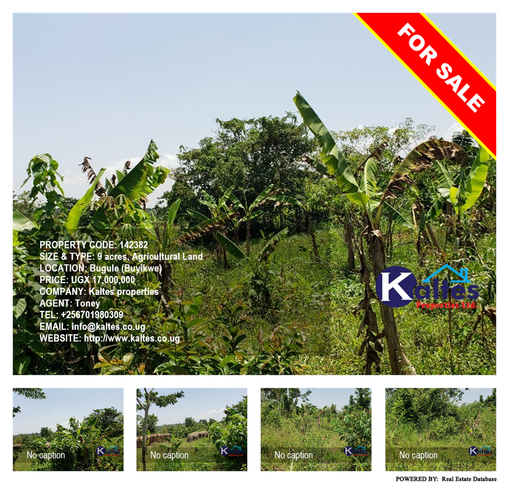 Agricultural Land  for sale in Bugule Buyikwe Uganda, code: 142382