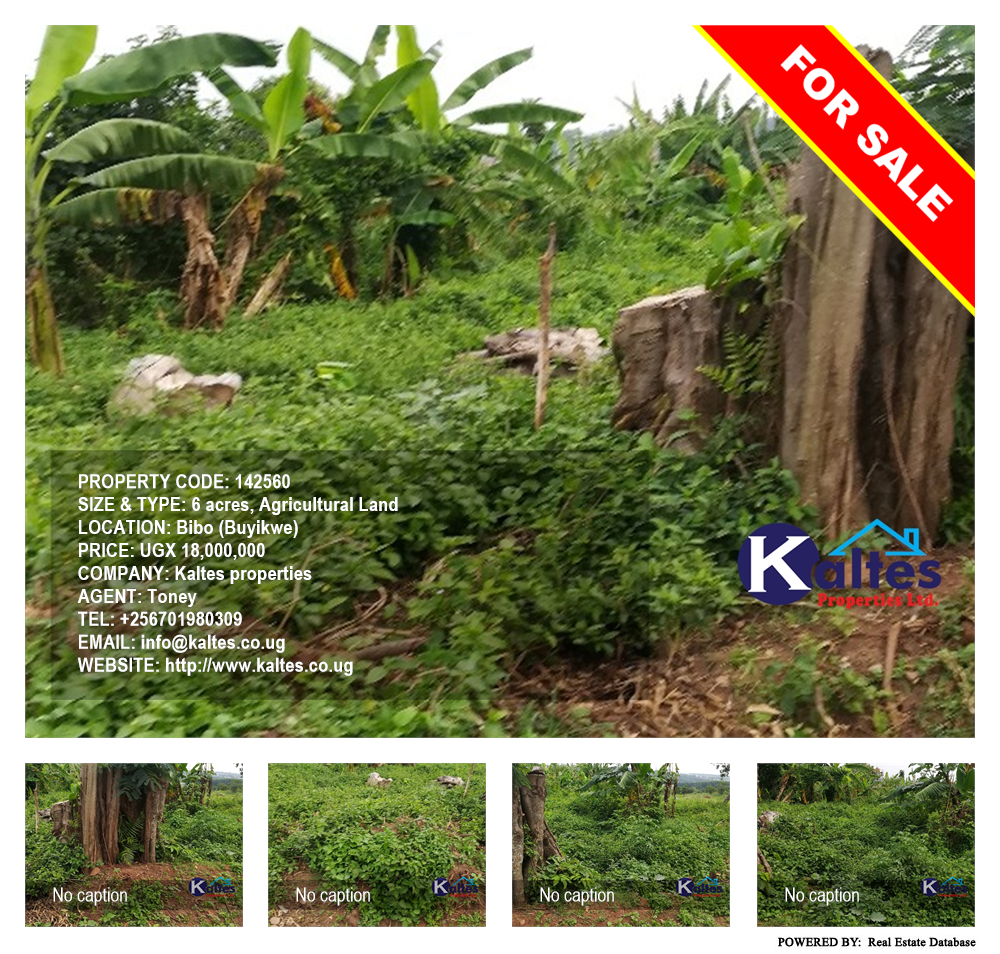 Agricultural Land  for sale in Bibo Buyikwe Uganda, code: 142560