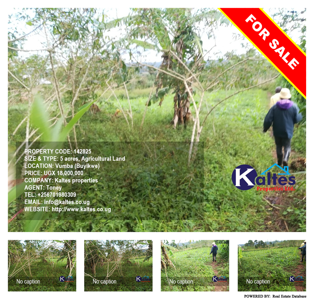 Agricultural Land  for sale in Vvumba Buyikwe Uganda, code: 142825