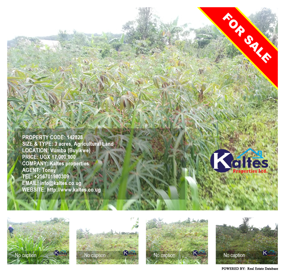 Agricultural Land  for sale in Vvumba Buyikwe Uganda, code: 142828