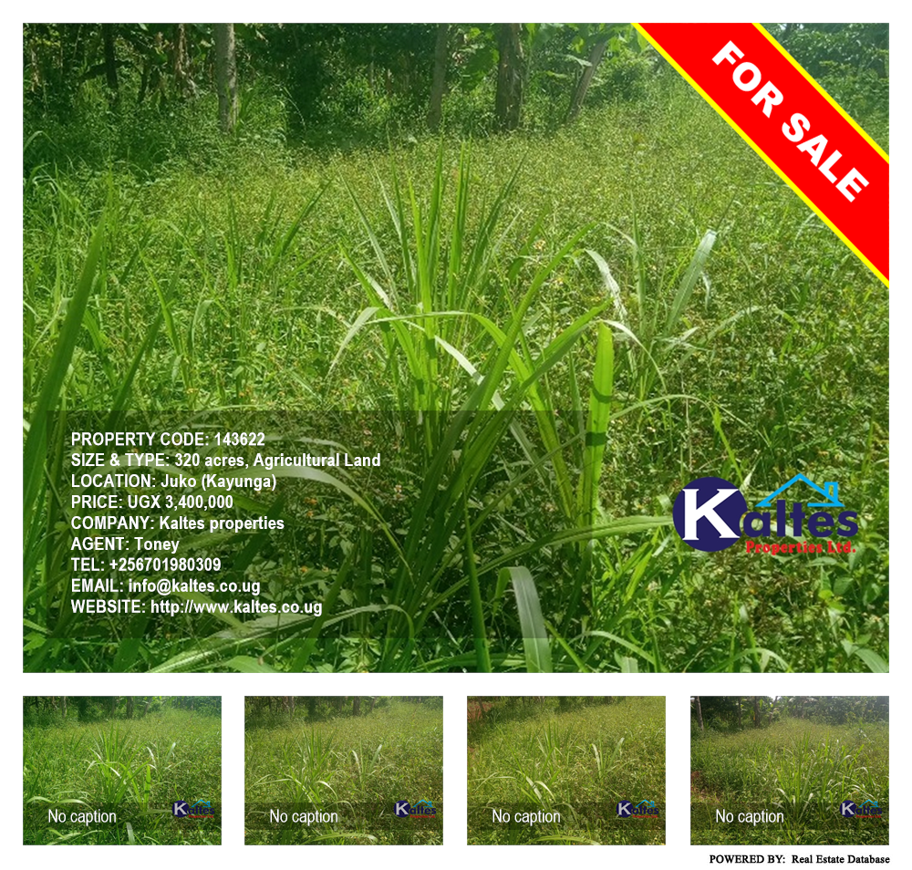 Agricultural Land  for sale in Juko Kayunga Uganda, code: 143622