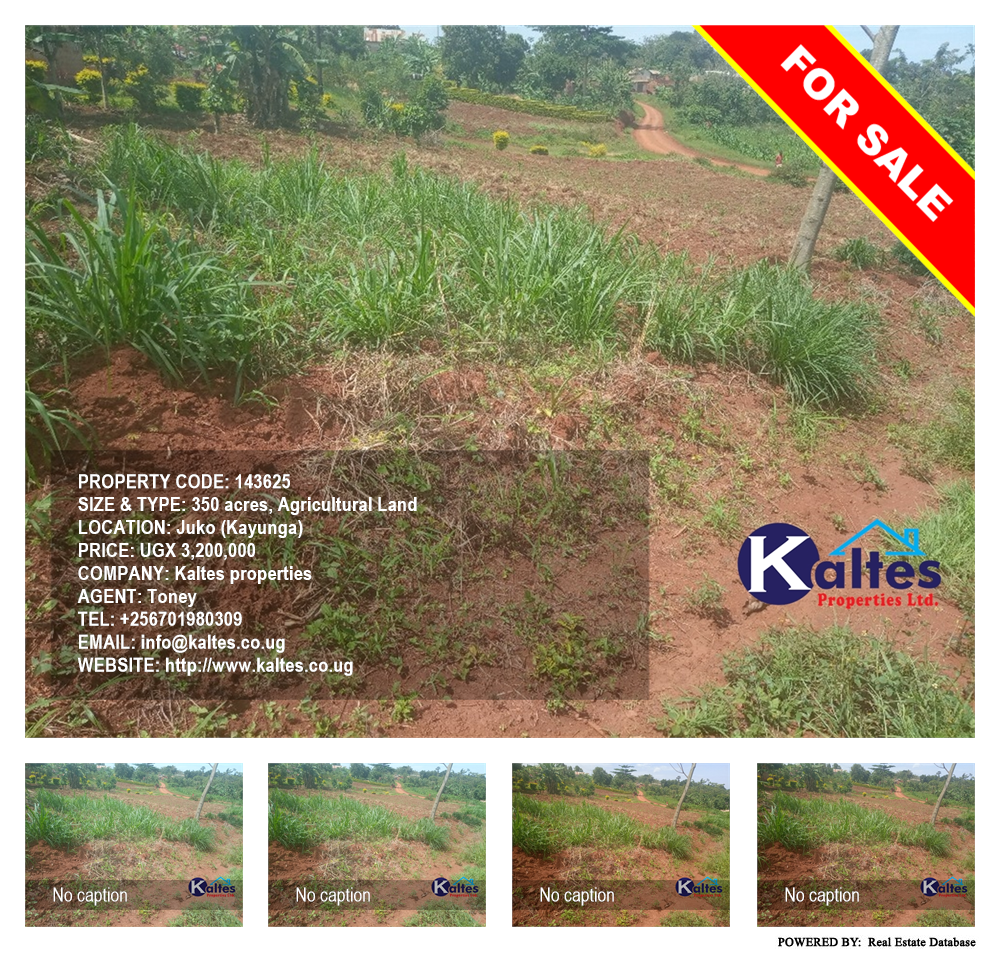 Agricultural Land  for sale in Juko Kayunga Uganda, code: 143625