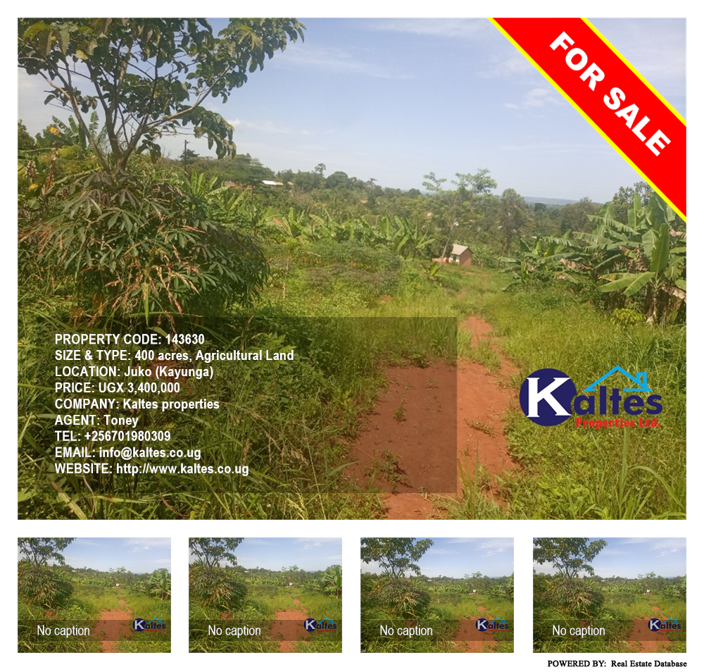Agricultural Land  for sale in Juko Kayunga Uganda, code: 143630