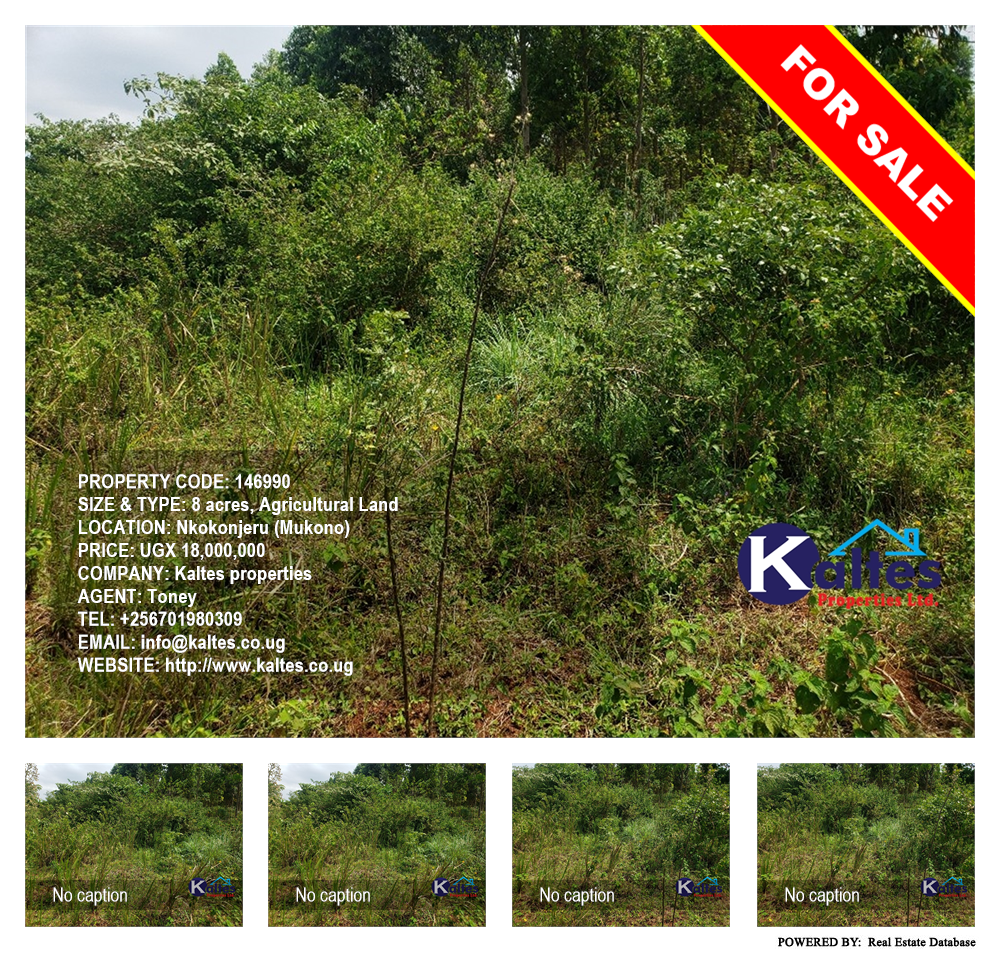 Agricultural Land  for sale in Nkokonjeru Mukono Uganda, code: 146990
