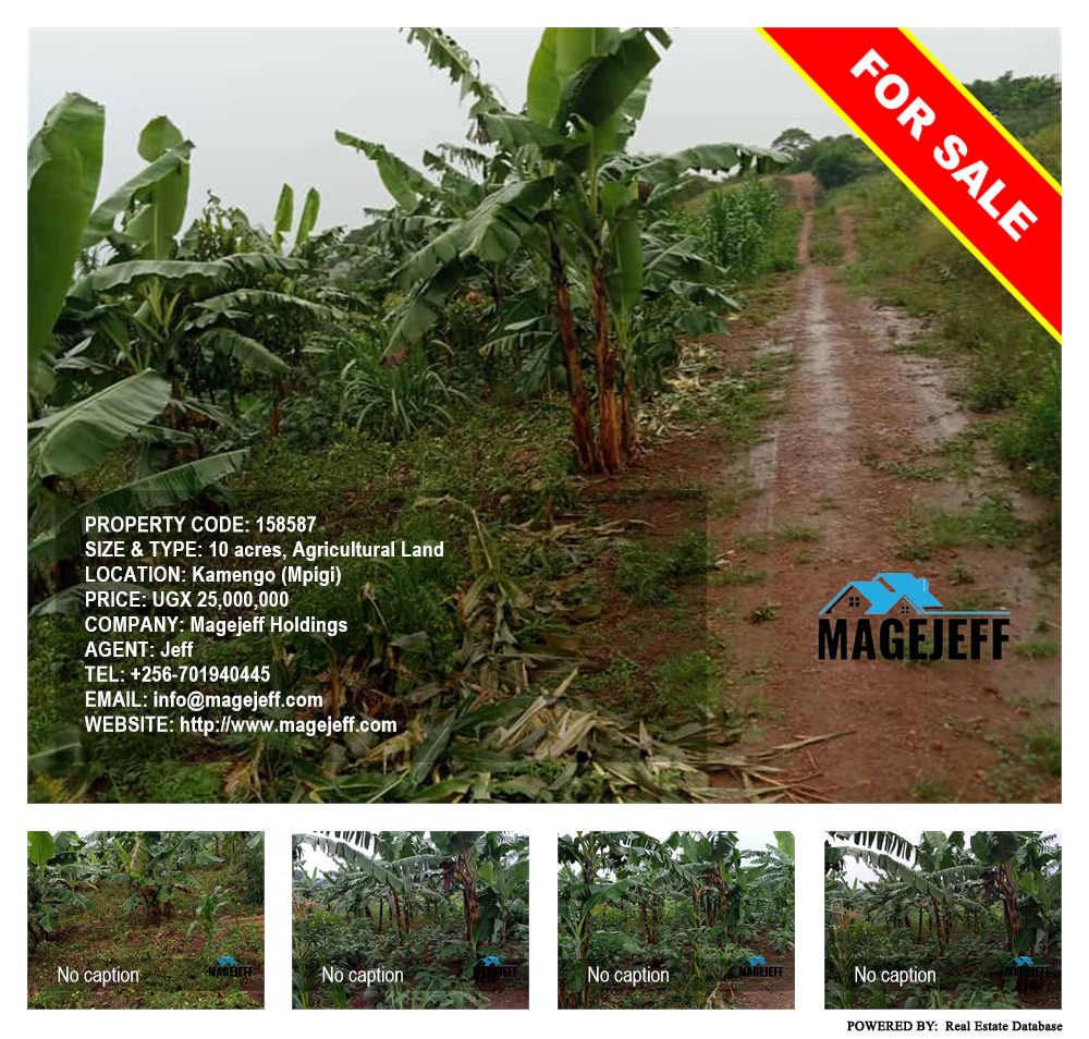 Agricultural Land  for sale in Kamengo Mpigi Uganda, code: 158587