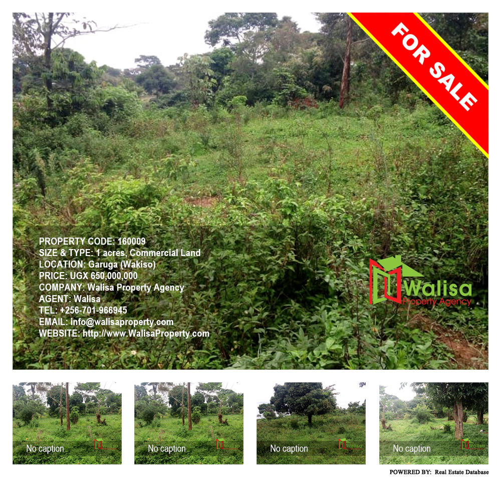 Commercial Land  for sale in Garuga Wakiso Uganda, code: 160009