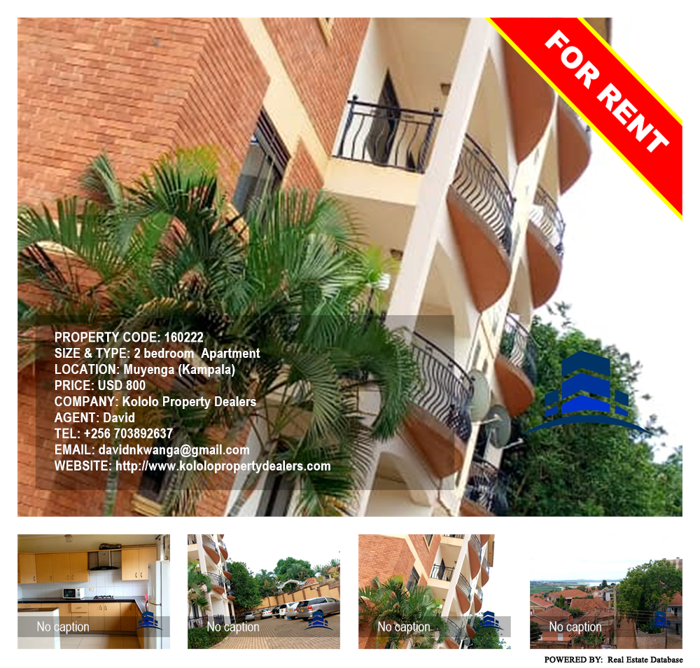 2 bedroom Apartment  for rent in Muyenga Kampala Uganda, code: 160222