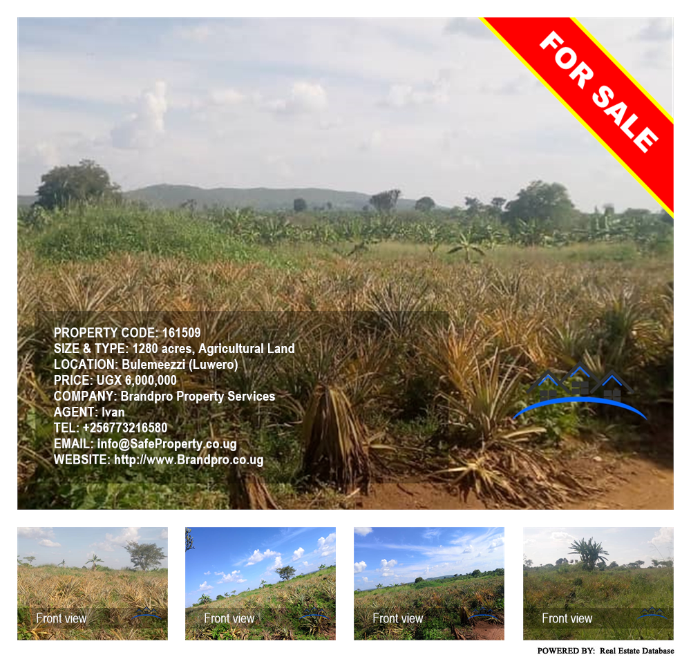 Agricultural Land  for sale in Bulemenzi Luweero Uganda, code: 161509