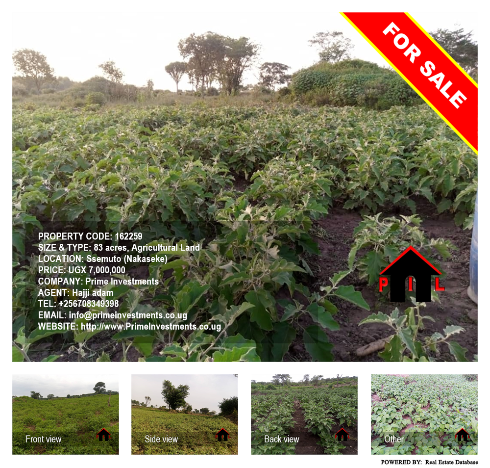 Agricultural Land  for sale in Ssemuto Nakaseke Uganda, code: 162259