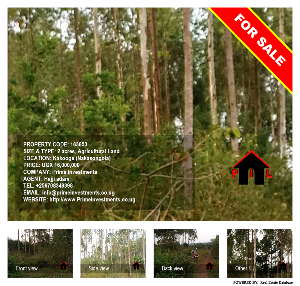 Agricultural Land  for sale in Kakooge Nakasongola Uganda, code: 163653