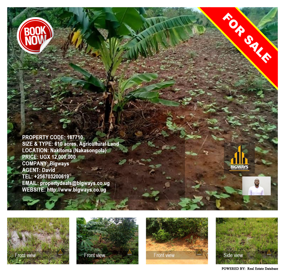 Agricultural Land  for sale in Nakitoma Nakasongola Uganda, code: 167710