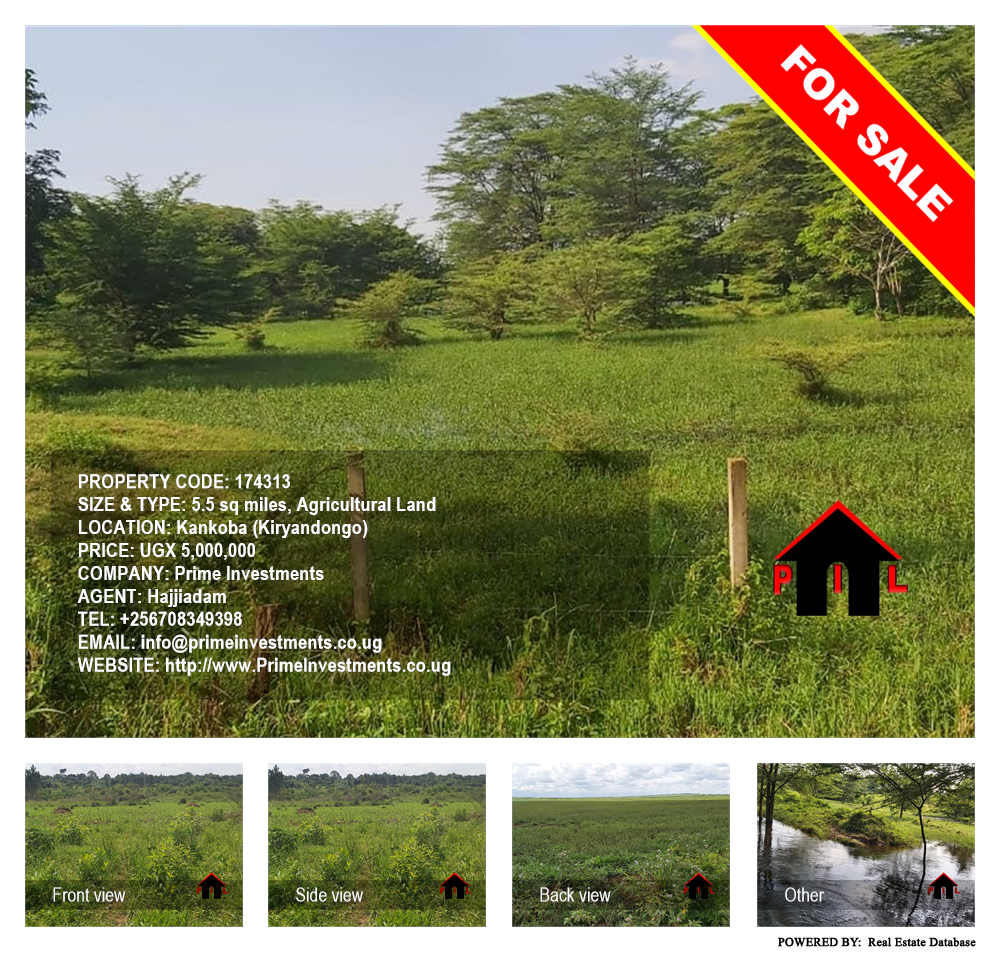 Agricultural Land  for sale in Kankoba Kiryandongo Uganda, code: 174313