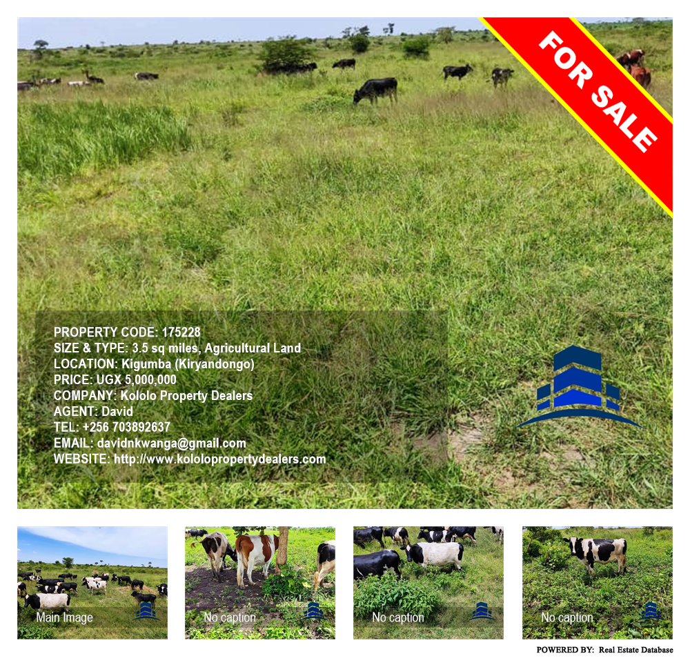 Agricultural Land  for sale in Kigumba Kiryandongo Uganda, code: 175228