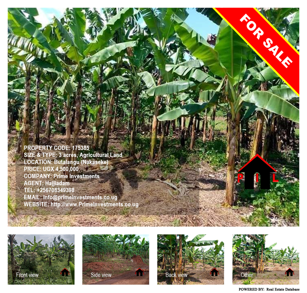 Agricultural Land  for sale in Butalangu Nakaseke Uganda, code: 175385