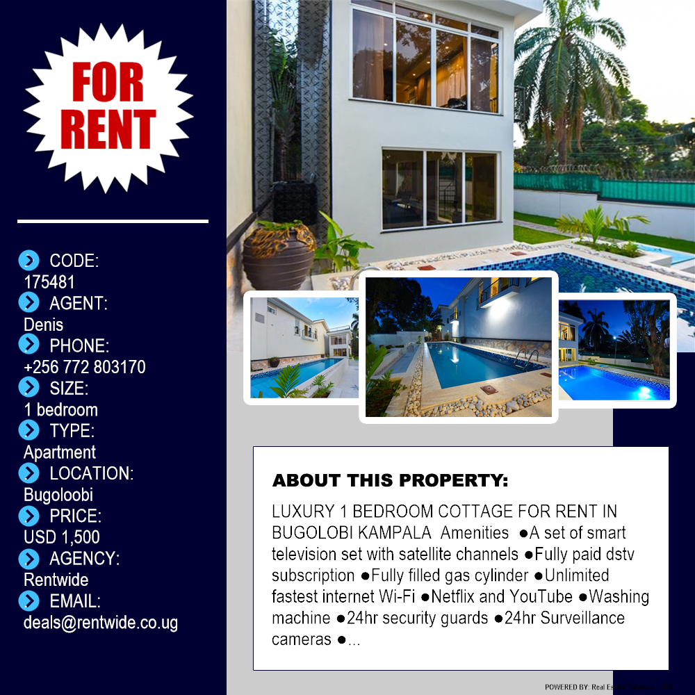 1 bedroom Apartment  for rent in Bugoloobi Kampala Uganda, code: 175481