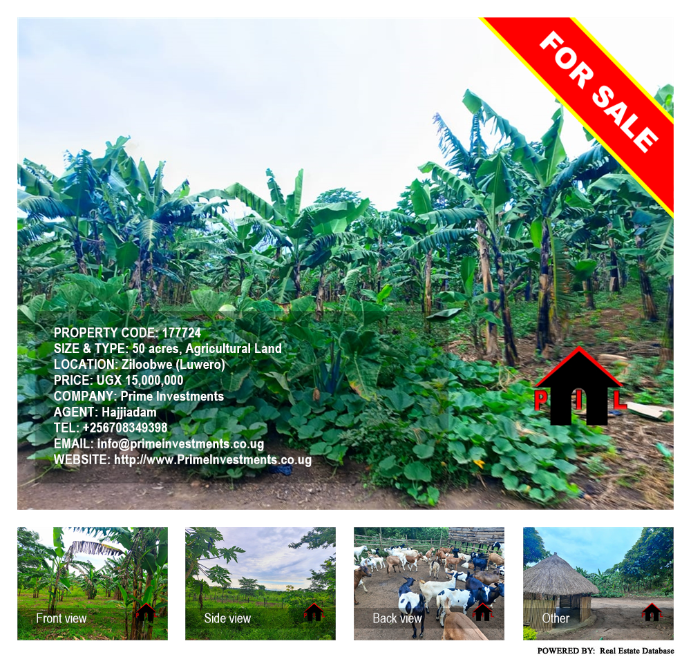 Agricultural Land  for sale in Ziloobwe Luweero Uganda, code: 177724