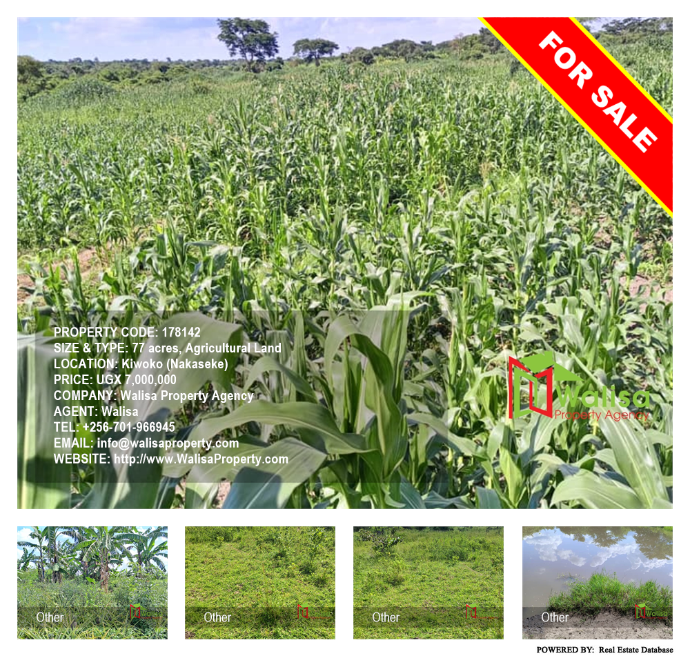 Agricultural Land  for sale in Kiwoko Nakaseke Uganda, code: 178142