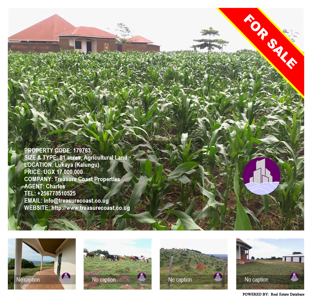 Agricultural Land  for sale in Lukaya Kalungu Uganda, code: 179763