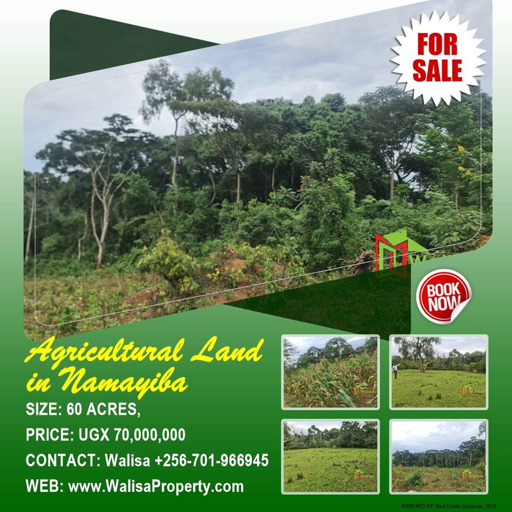 Agricultural Land  for sale in Namayiba Mukono Uganda, code: 180331