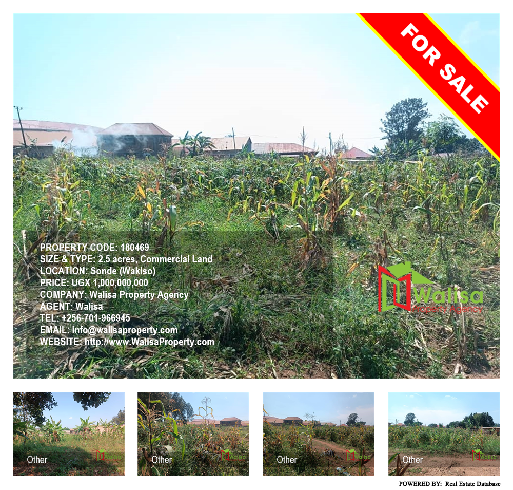 Commercial Land  for sale in Sonde Wakiso Uganda, code: 180469