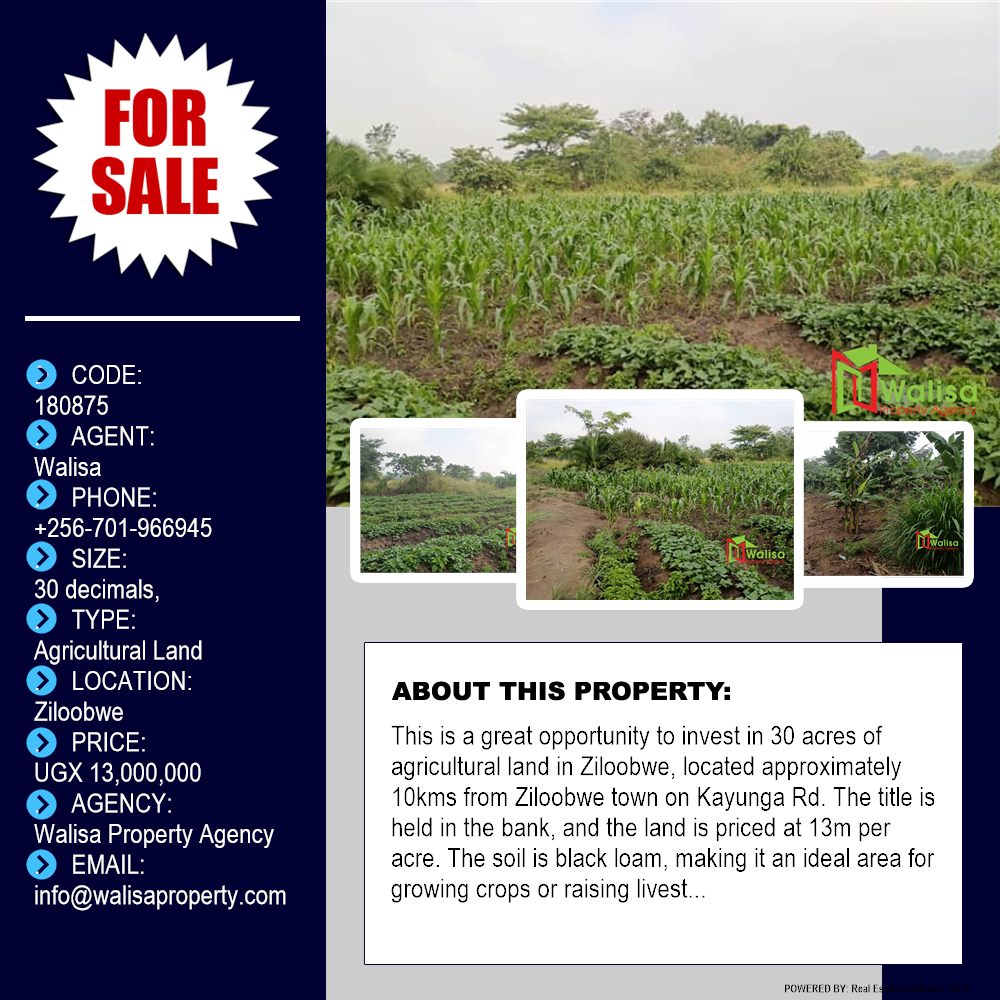 Agricultural Land  for sale in Ziloobwe Luweero Uganda, code: 180875