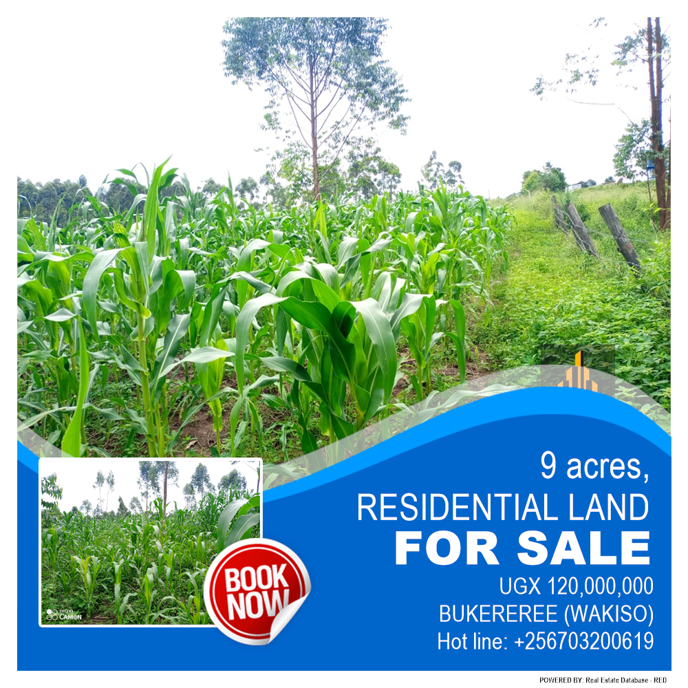 Residential Land  for sale in Bukeelele Wakiso Uganda, code: 181631