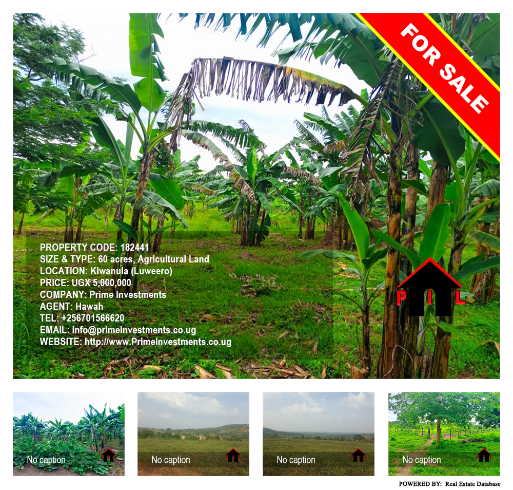 Agricultural Land  for sale in Kiwanula Luweero Uganda, code: 182441