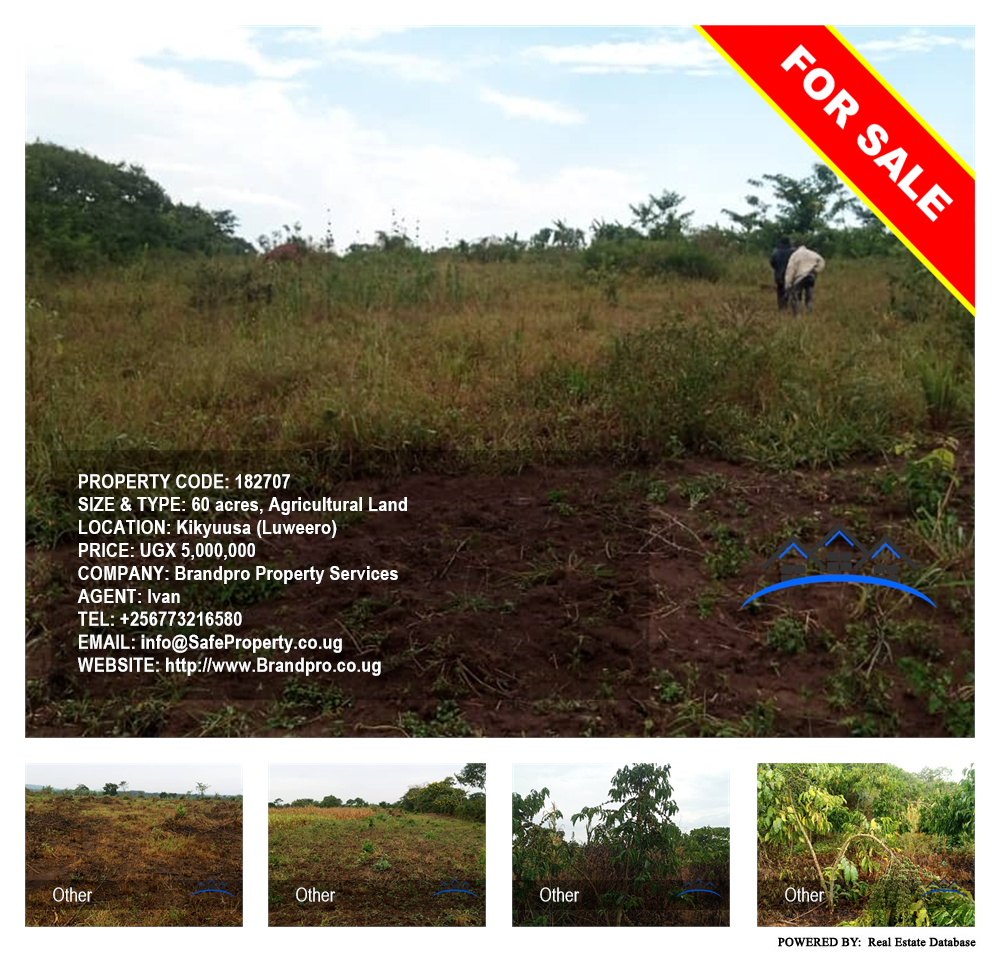 Agricultural Land  for sale in Kikyuusa Luweero Uganda, code: 182707