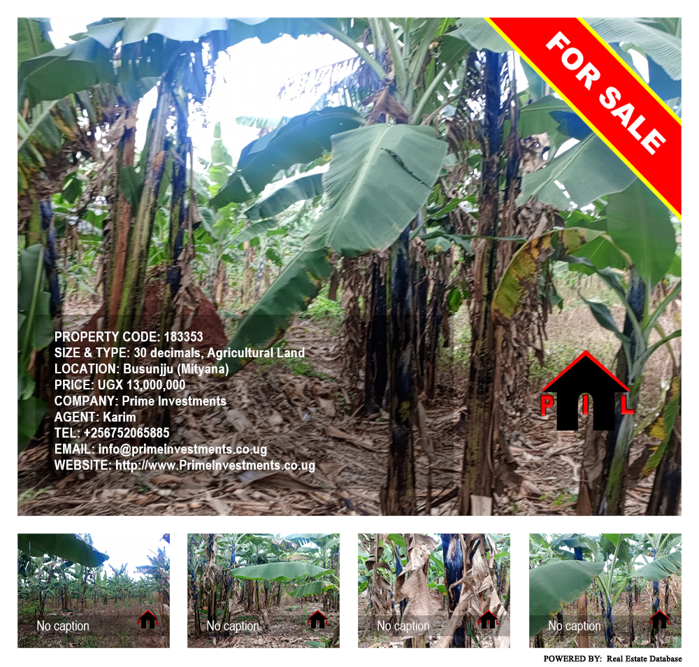 Agricultural Land  for sale in Busunjju Mityana Uganda, code: 183353