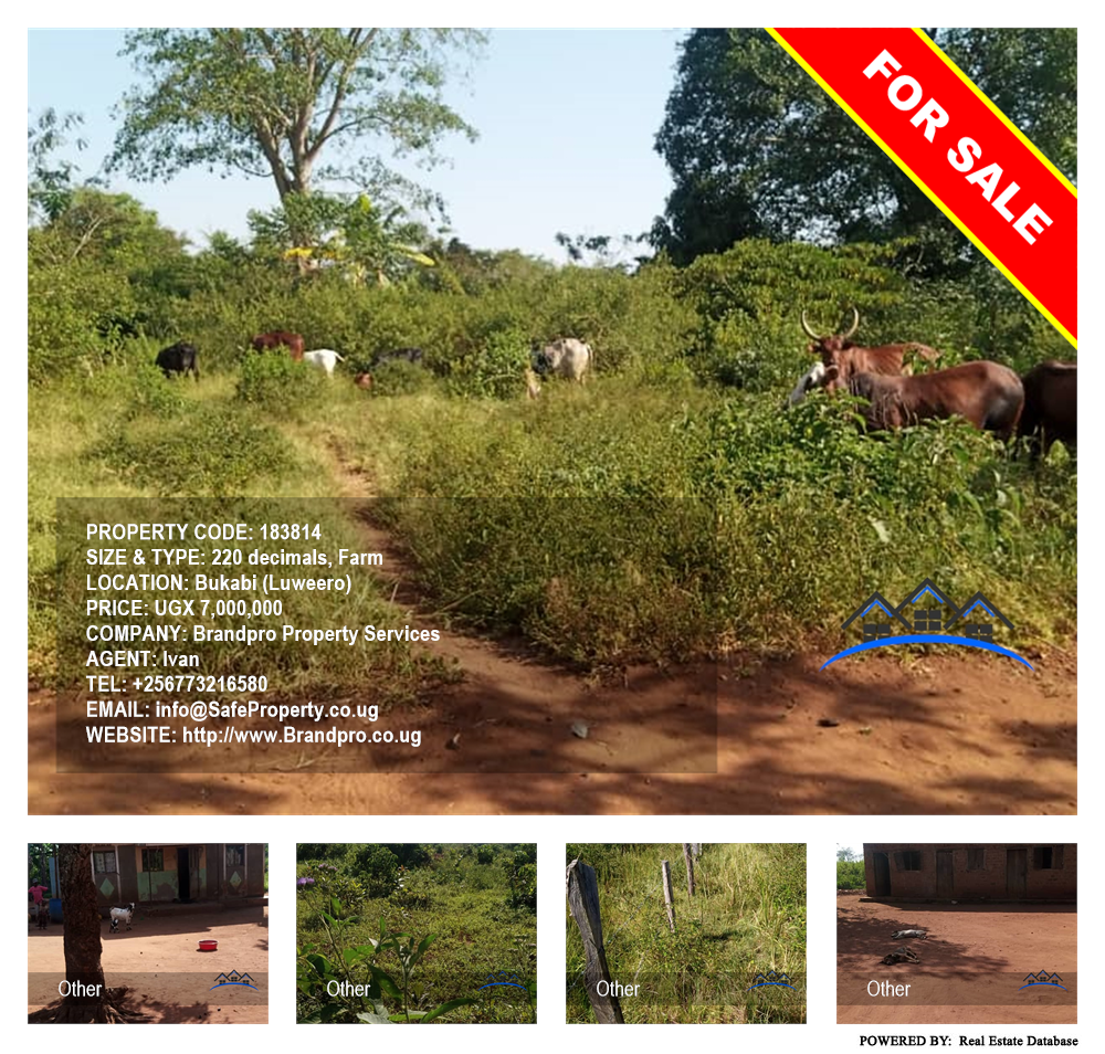 Farm  for sale in Bukabi Luweero Uganda, code: 183814