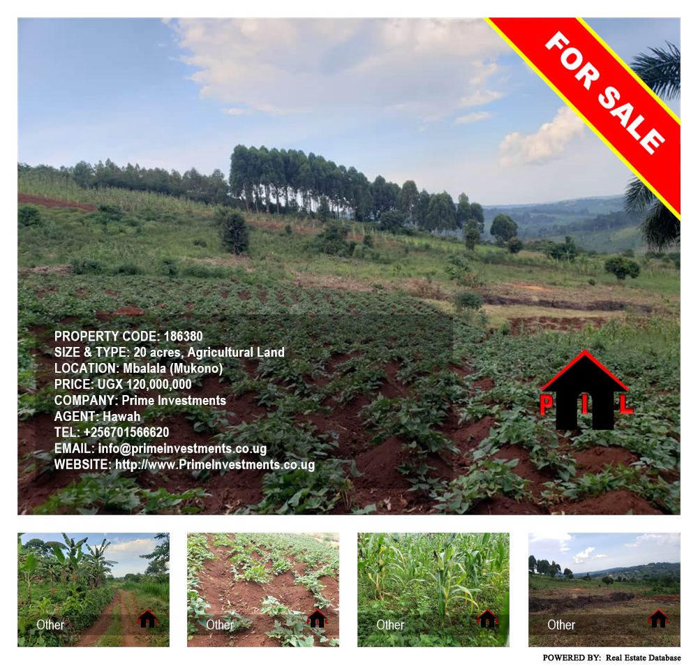 Agricultural Land  for sale in Mbalala Mukono Uganda, code: 186380