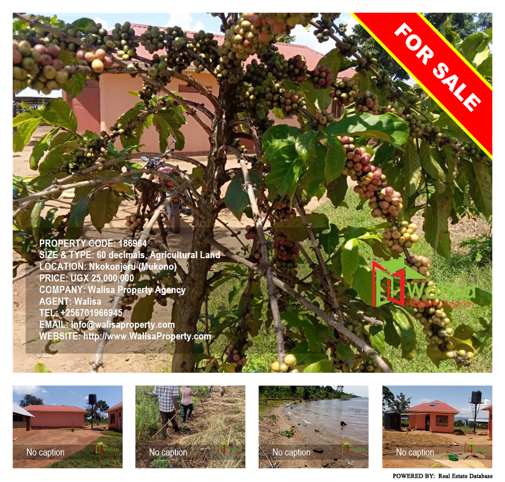 Agricultural Land  for sale in Nkokonjeru Mukono Uganda, code: 186964