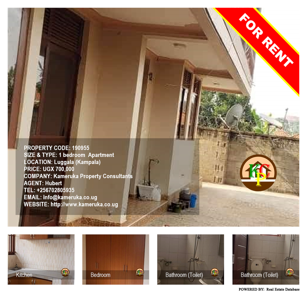 1 bedroom Apartment  for rent in Luggala Kampala Uganda, code: 190955
