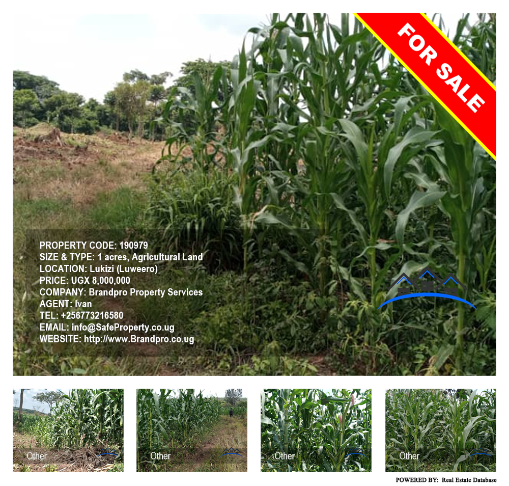 Agricultural Land  for sale in Lukizi Luweero Uganda, code: 190979